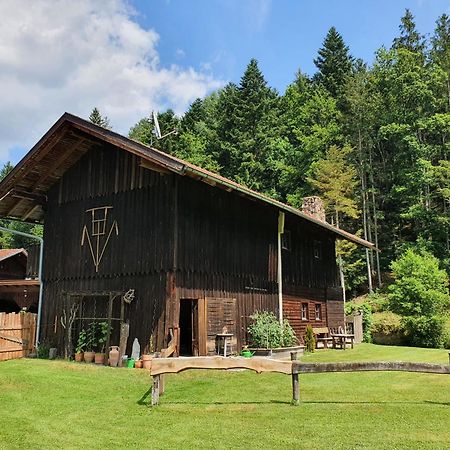 Naturidyll Kollnbergmühle Fürstenstein Dış mekan fotoğraf