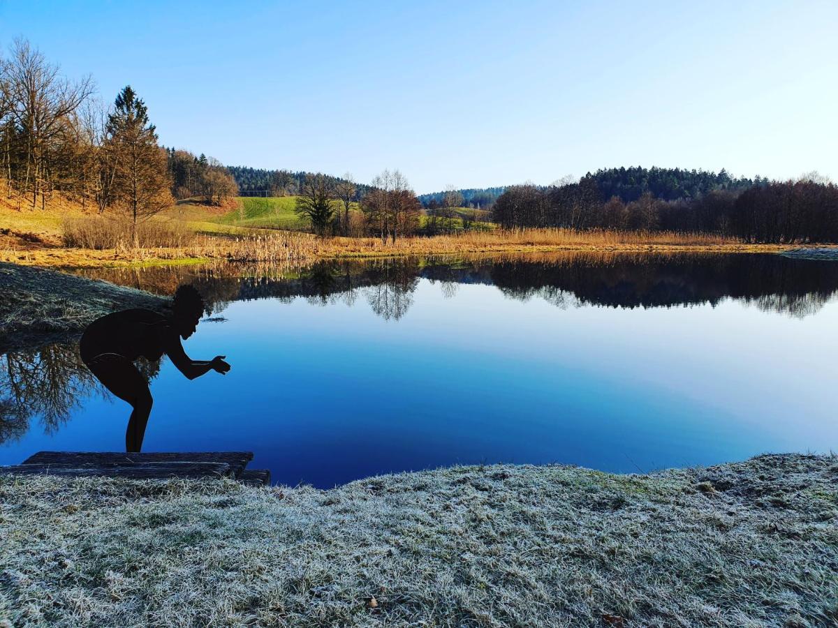 Naturidyll Kollnbergmühle Fürstenstein Dış mekan fotoğraf